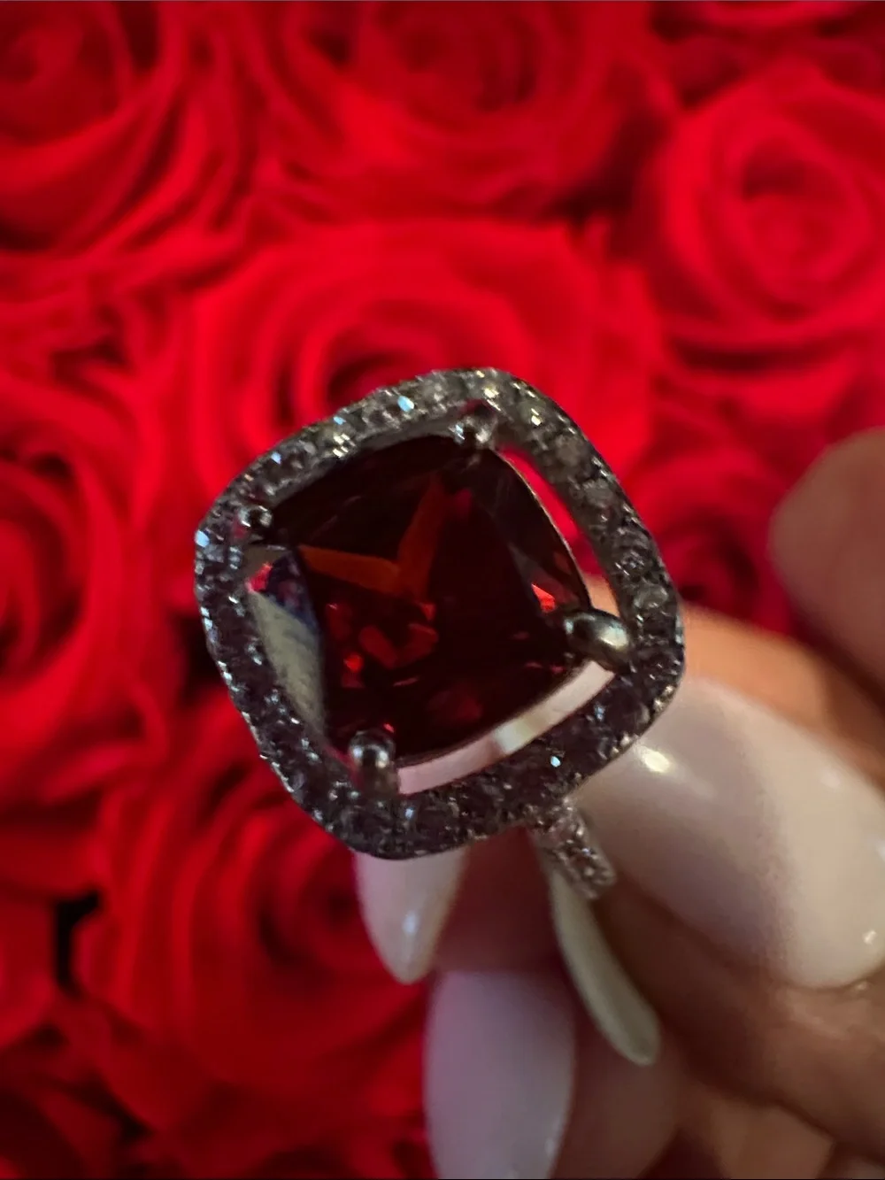 N/A elegant red